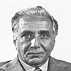 Amir H. Jamal