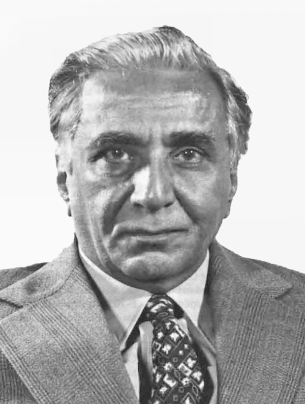 Amir H. Jamal