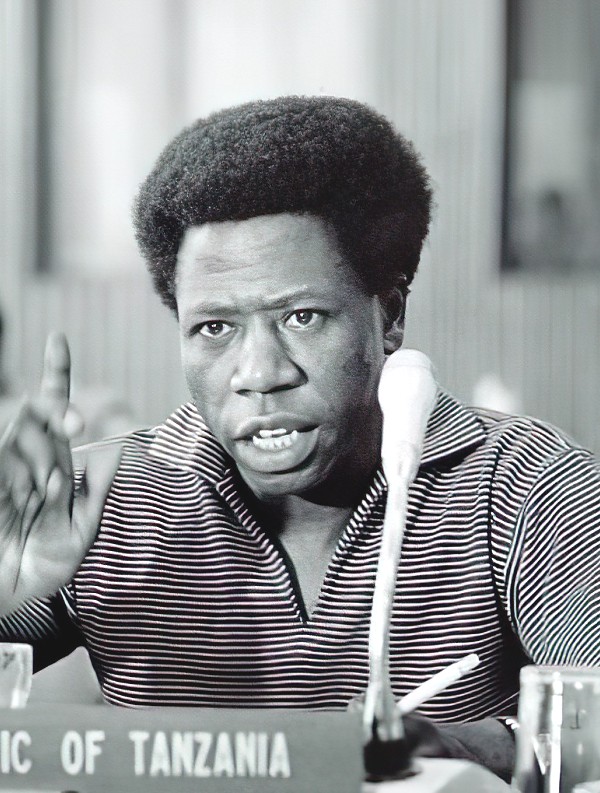 Weidi E. Mwasakafyuka